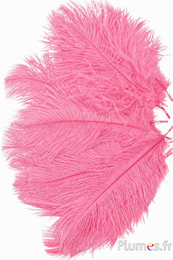 Struzzo - 13-18 cm - rosa vecchia